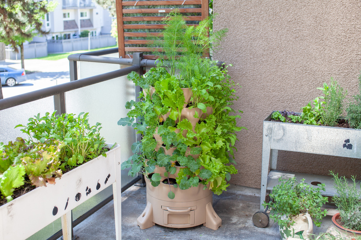 Transform a balcony or tiny garden genius ideas for small spaces img 4